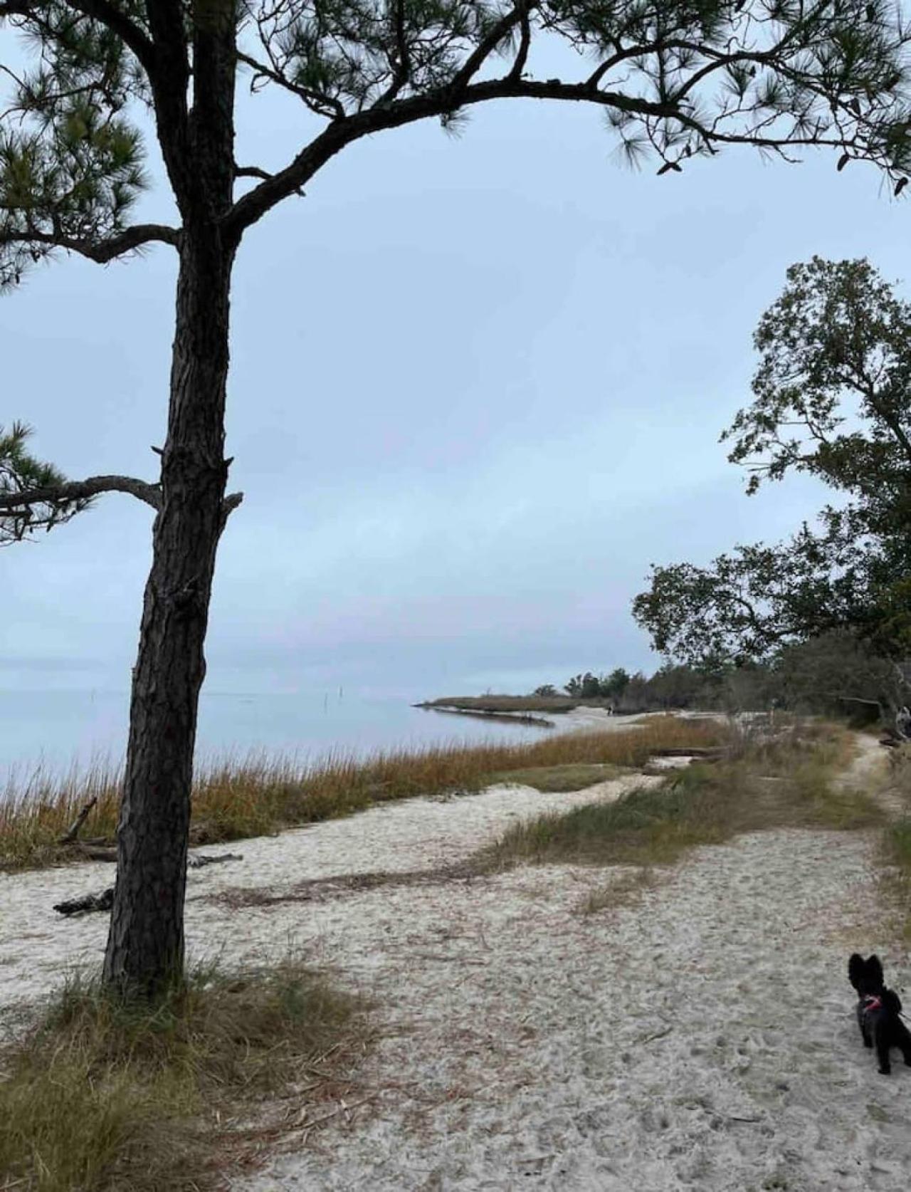 Vila Sunskipper Iota Carolina Beach Exteriér fotografie